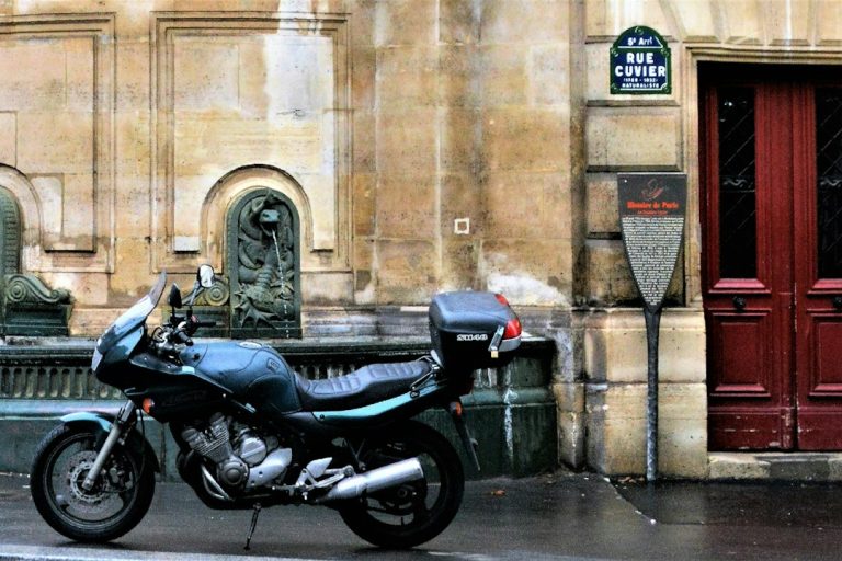 Les Conséquences Futuristes des Blocages de Prix des Carburants